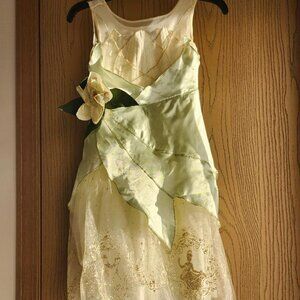 Disney princess tiana dress and accessories